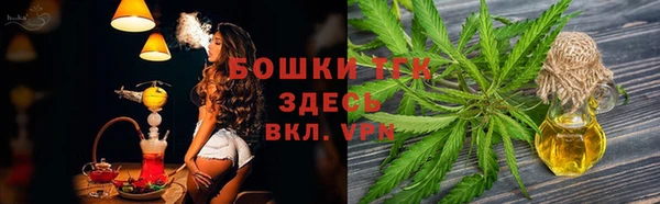тгк Михайловск