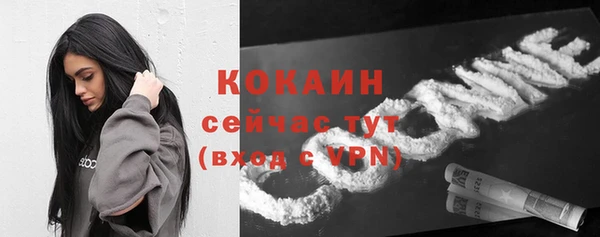 МДПВ Михайлов