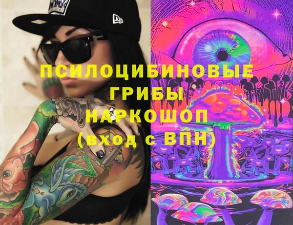 МДПВ Михайлов
