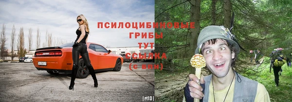 МДПВ Михайлов
