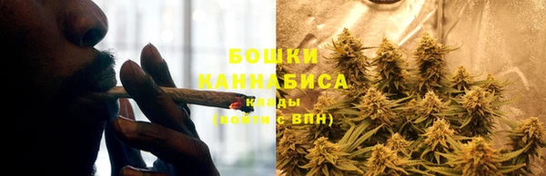 тгк Михайловск