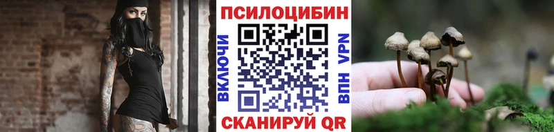 Галлюциногенные грибы Magic Shrooms  Купить где  Хадыженск 